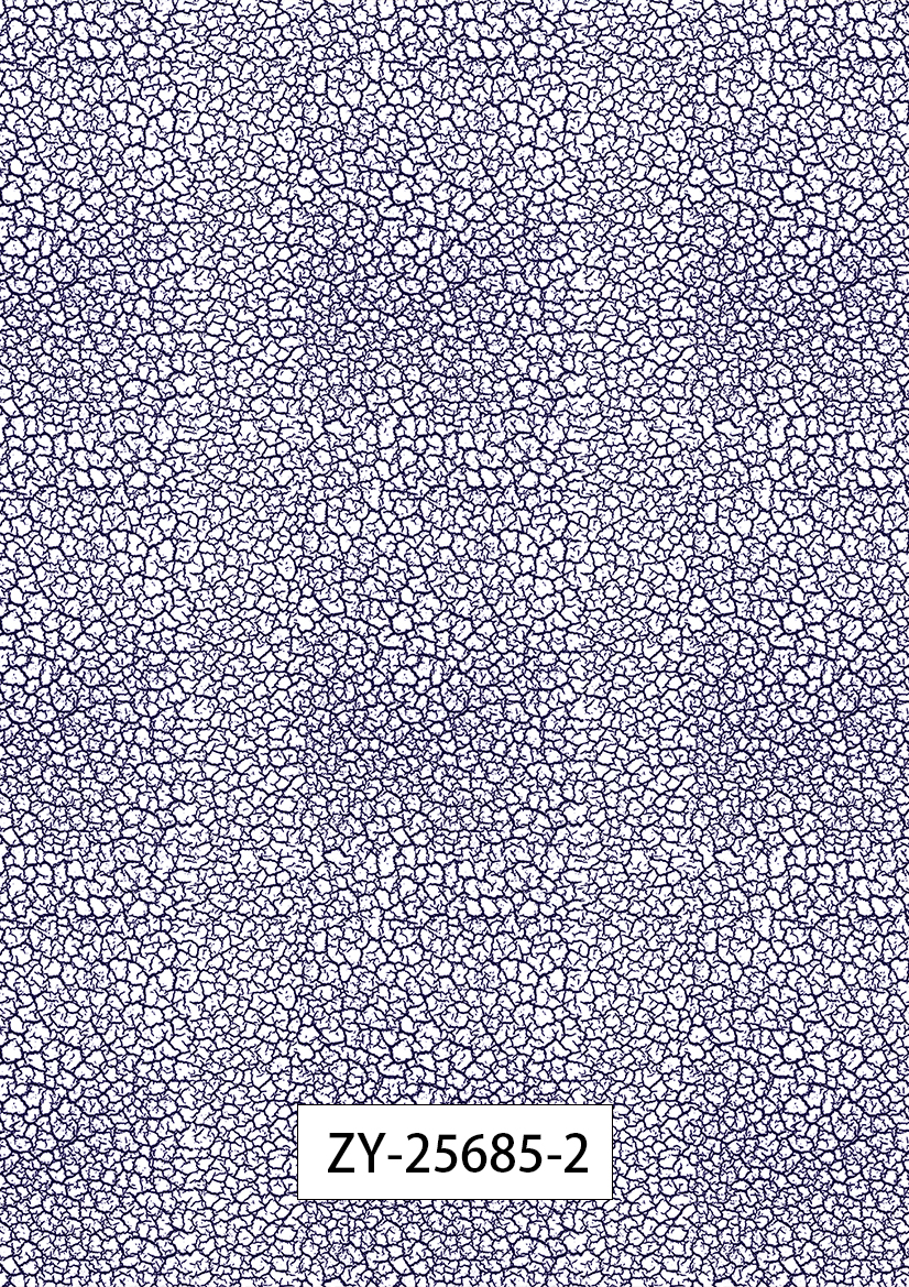 ZY-25685-2