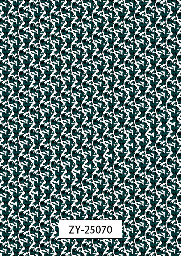 ZY-25070