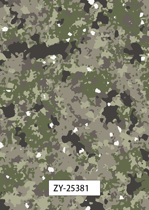 ZY-25381