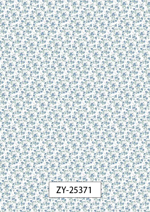 ZY-25371