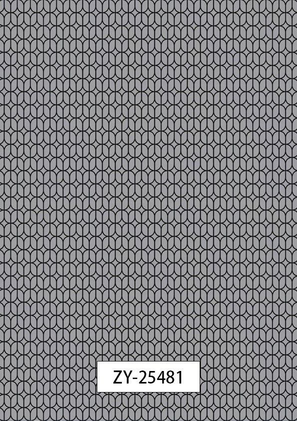 ZY-25481