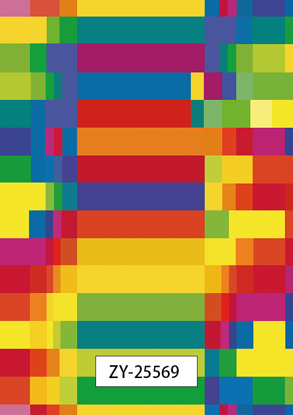 ZY-25569